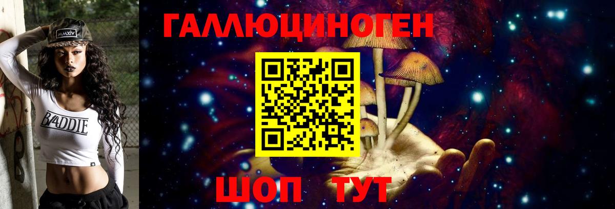Галлюциногенные грибы Psilocybe Новомосковск